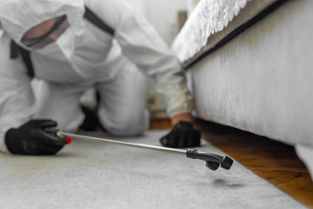 Professional Cockroach Control technician working in Castaic, CA