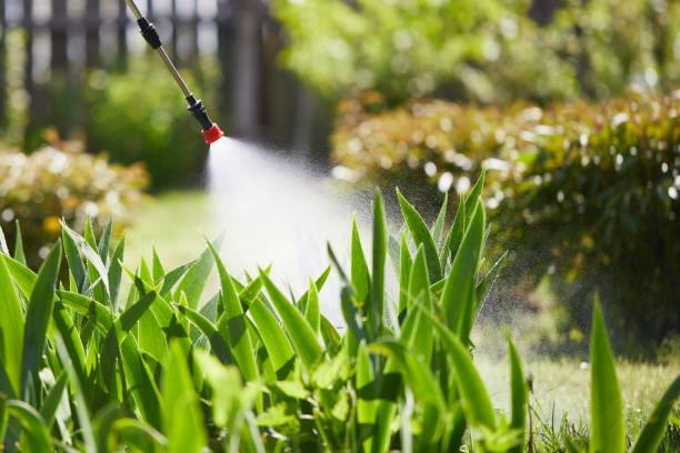 24/7 Emergency Cockroach Control experts in Castaic, CA