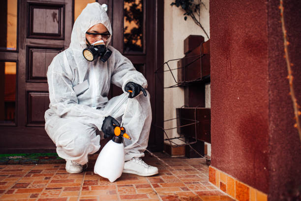 Reliable Cockroach Control contractor in Castaic, CA by Nex Pest Control
